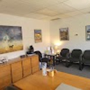 Zandi Chiropractic - Chiropractors & Chiropractic Services