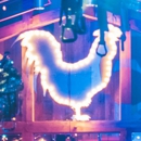 Tin Rooster Honky Tonk - Bars