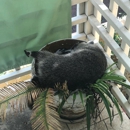 Critter Control