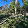 Blue Grid Solutions gallery