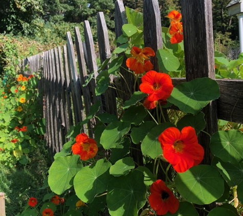 Clay Hill Farm - Cape Neddick, ME