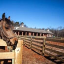 Carolina Equine Hospital - Veterinary Clinics & Hospitals