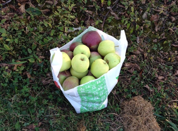 Jenkins & Lueken Orchard - New Paltz, NY