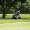 Golfcarts.com gallery