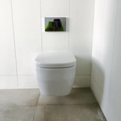Gallery Image Number 6