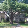Arboretum Tree Services gallery