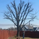 Rodriguez Tree Service