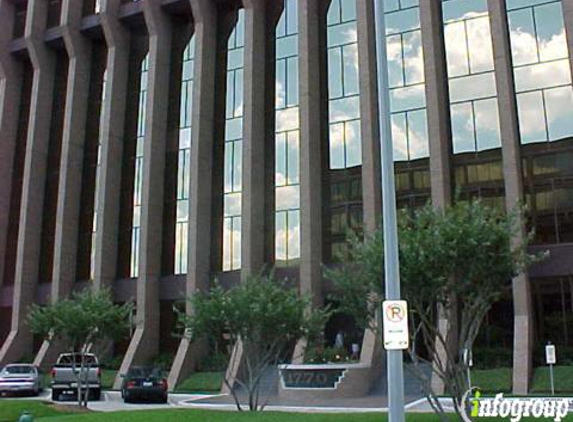 Amicus Litigation - Houston, TX