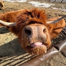 Audra's Copper Coo