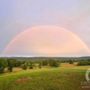 Fox Creek Farm Goldendoodles & Bernedoodles gallery