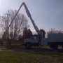 Central Tree Service