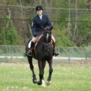 Vaquero Training Center - Horse Training