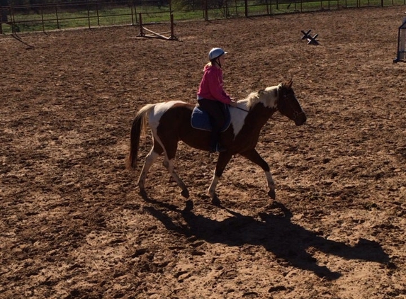 Tri-Star Farm - Hutto, TX