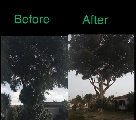 Go Green Affordable Tree Service - Hollywood, FL
