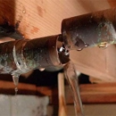 PGS Plumbing Cypress