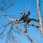 CBM Tree Services LLC