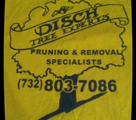 Disch Tree Experts. Disch Tree Experts -Tree Expert in Central Jersey! 732-803-7086
dischtreeexperts.wordpress.com