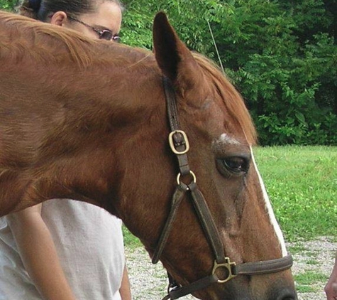 Stone Gate Farm - Knoxville, TN