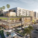 Bloom on Third - Grocery Stores