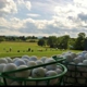 Long Shot Driving Range