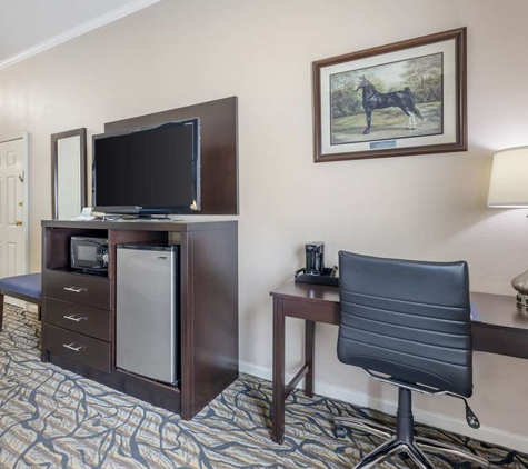 Best Western Spring Hill Inn & Suites - Spring Hill, TN