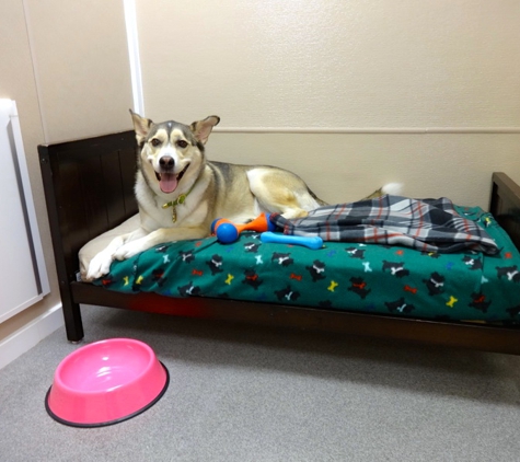 Four Paws Pet Hotel and Resort - Fort Collins, CO