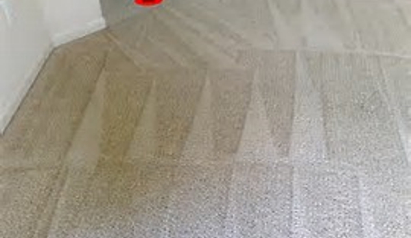 DOMINIC CARPET CLEANING SERVICE - Aldan, PA