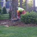 Hudson's Tree Service - Tree Service