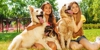 Double Arrow Veterinary Clinic - Veterinarian Emergency Services