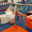 Elite Gymnastics Academy - Gymnastics Instruction