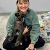 Huntersville Veterinary Clinic gallery