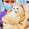 Rosecrans Veterinary Clinic gallery