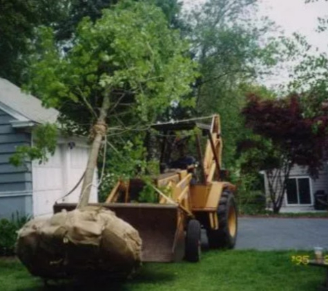 Frank Pappa & Sons Landscaping Service Inc - Hartford, CT