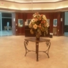 Optical Outlets gallery