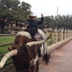 Texas Cowboy Hall of Fame