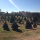 Pine Hill Farms