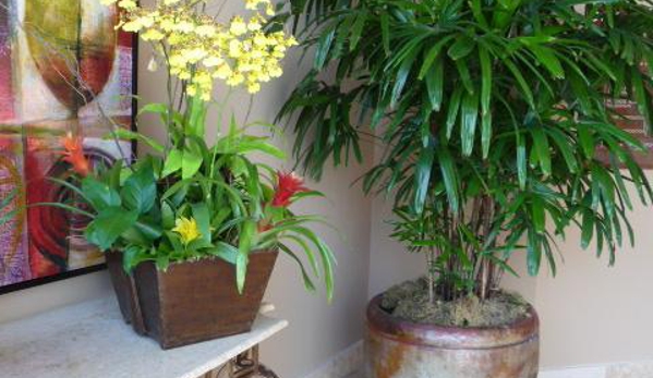 Exotic Plants Ltd. - Sacramento, CA