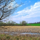 Albritton Land Clearing