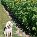Little River Orchard - Farms