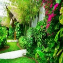 Plantscapes Hawaii - Garden Centers