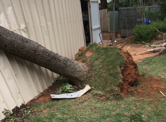 Mildura Tree Services - Mildura, VIC