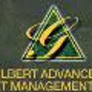 Gilbert Advanced Asset Mgmt - Financing Consultants