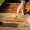 Lee Pest Control gallery