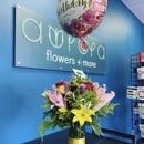 Aurora Flowers + More