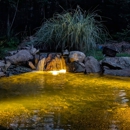 P Douglas Waterscapes - Ponds & Pond Supplies