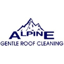 Alpine Gentle Roof Cleaning - Gutters & Downspouts