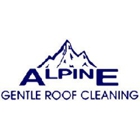 Alpine Gentle Roof Cleaning