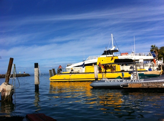 Maui Adventure Tours Kayak Company - Lahaina, HI