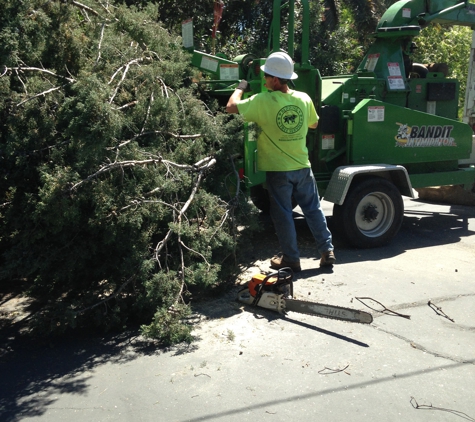 Redding Tree Service Inc. - Redding, CA