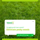 WeedX Fertilizing - Lawn Maintenance